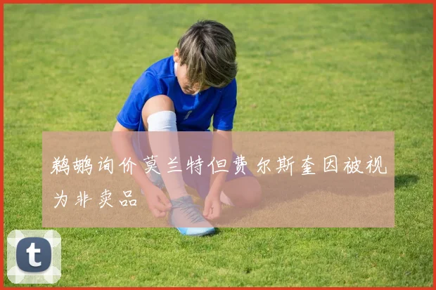 鹈鹕询价莫兰特但费尔斯奎因被视为非卖品