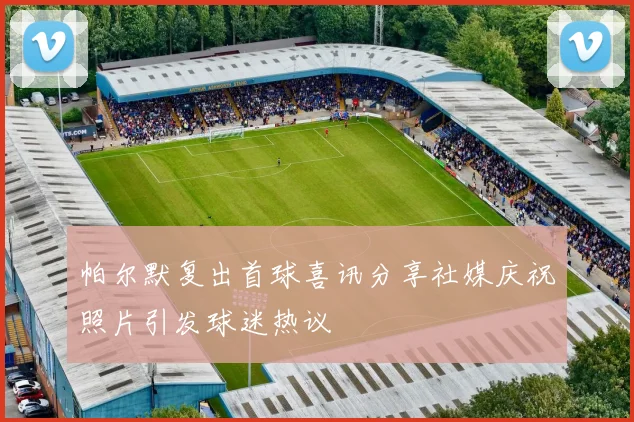 帕尔默复出首球喜讯分享社媒庆祝照片引发球迷热议